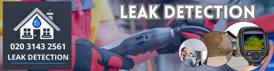 Mayfair Leak Detection