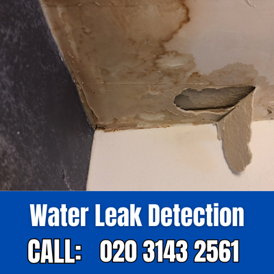 Expert Water Leak Detection Services in Mayfair | Mayfair Leak Detection